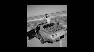 911 times | Soul Sample Type Beat X The Alchemist X Freddie Gibbs