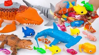 toy asmr 🦈 RC Mosasaurus & Hammer Shark & Baby Shark & Aquarium ASMR Satisfying with Unboxing