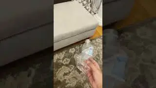 Spam jellybean sucks