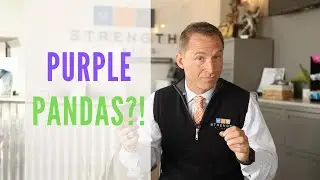 Purple Pandas