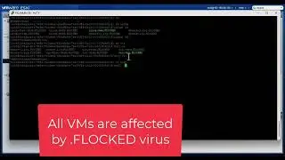 How to Recover ESXI Servers (.flocked) FOG Ransomware | FOG Ransomware ESXI Decryption Video Guide