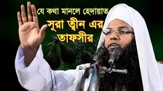 হেদায়াতের ওয়াজ সূরা তীন এর তাফসীর আল্লাহ কসম করেলেন কেন ? | Bangla Waz Abu Taher Al Madani