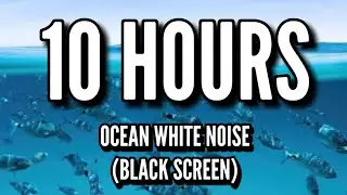 10 Hours Ocean White Noise 🌊 Deep Sleep, Relaxation, Study & Tinnitus Relief