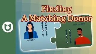 How do patients find a matching donor? #AML