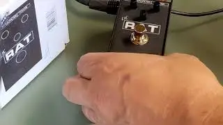 Kinnatone modded Proco Lil Rat!