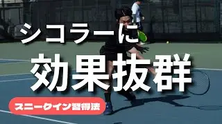 【テニス】シコラーにこれやれば勝てます　スニークイン習得法