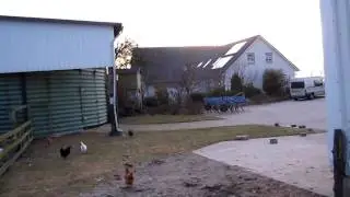 Germany farm tour.MOV