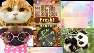 {Word Cookies} Brainy - Coffeeleaf levels - level 1 to 20 (celina mak official)