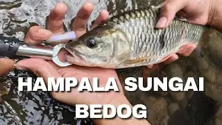 Casting hampala di sungai bedog
