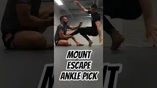 mount escape ankle pick #katame #bjj #martialarts #jiujitsu #anklepick #mount #nogi
