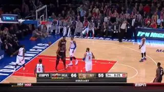 Dwyane Wade 22 points vs New York Knicks full highlights 2014/02/01 HD