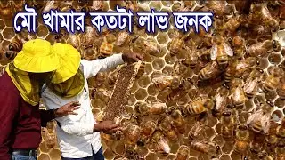 জানেন কি ? মৌ খামার কতটা লাভ জনক ।মৌমাছি পালন মধু চাষ করে সফল মান্নান ভাই ।Honey Cultivation in box
