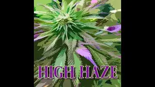 SYNTH RAP BEAT BY MAD SURGEON - HIGH HAZE