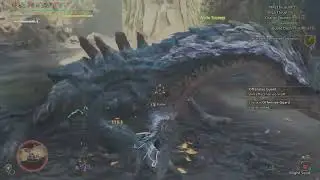 9* 5★ Lagiacrus | Solo Lance | TAWiki rules | 5'52