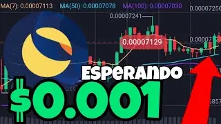 Terra Classic Esperando La Subida $0.001 Holders #lunc