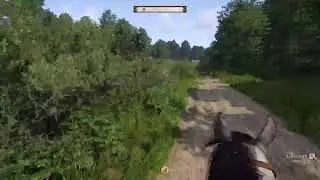 Honest No-Crime Henry Hardcore Mode All Negative Perks Run