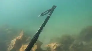Spearfishing Maidencombe short Wrasse and Bass compilation