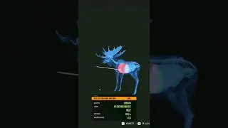 172m Pistol Heartshot on a Diamond Moose| theHunter Call of the Wild #shorts