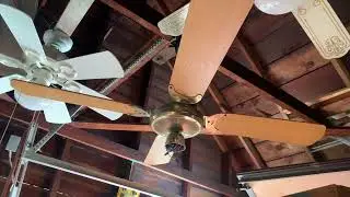 FAN I KEPT A SECRET: 52&rdquo; Polished Brass Moss Tropical Breeze Ceiling Fan