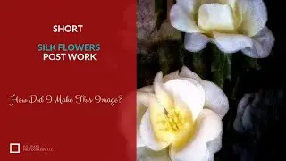 SHORT - Silk Flower Post Work - Short Vid