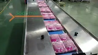Secondary Packaging Machine for Soontrue SZ280X
