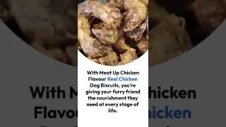 Dog Food Review : Finally It's Here! #shorts #viral #petsupplie