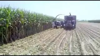 Silage making with Celikel Single Row Maize Chopper: Cattlekit Pakistan  