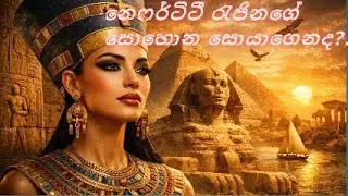 නෙෆර්ටිටී රැජිනගේ සොහොන සොයාගෙනද ?