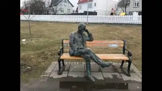 Tj&ouml;rnin