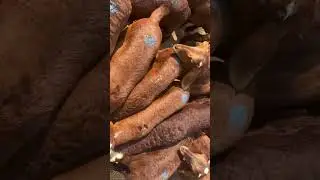 Gowribidnur Sante - Sindanoor Kuri #Sindanoor #MylaralingaFarm #farmlife #farming #farmingvideos