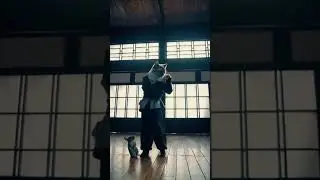 Master Meow  #shorts