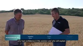 Subsurface Drip Irrigation on a wheat farm, an ideal system for direct seeding.