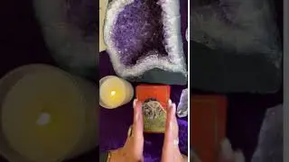 Pisces | Animal Spirit Guide One Card reading