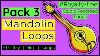 Free Mandolin Loops - Mandolin Loops Pack 3 | Romantic Punjabi loops kit | loop kit |  #ybloopspack
