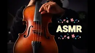 Calm the Nervous System | violin ASMR ✨