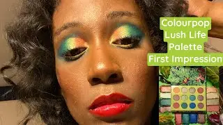 Colourpop Lush Life Collection First Impression