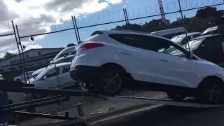 Adobe Rent a Car - La Ara&ntilde;a