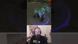 Что это за питомец?