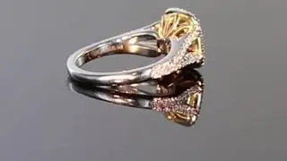 Honey Brown Natural Diamond in Floral Halo r3748