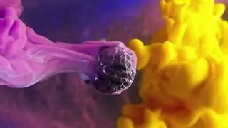 Ink In Motion | Sound Design | Manav Doshi | IRIS - The Sound Studio