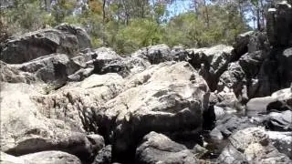 Moorabool Migration