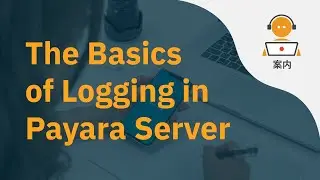 The Basics of Logging in Payara Server (Japanese)