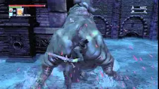 Totally not fisting a Pig [Test Footage]