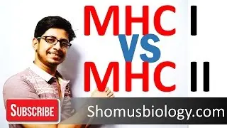MHC class 1 vs MHC class 2 | the difference between MHC class 1 and class 2