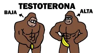 Cómo aumentar la testosterona de forma natural explicado por simio