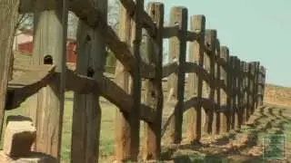 2013 Lone Star Land Steward: JA Ranch