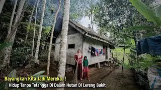 Tangguh.. Hidup Tanpa Tetangga Pasangan Muda Mudi Ini Memilih Tinggal Menyendiri di Hutan