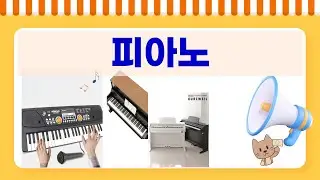 국산 vs 수입! 피아노 초보를 위한 전자피아노 추천 비교 (88건반)