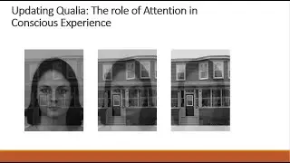 Updating Qualia : The role of Attention in Conscious Perception