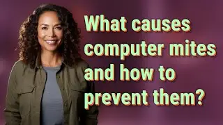 What causes computer mites and how to prevent them?
